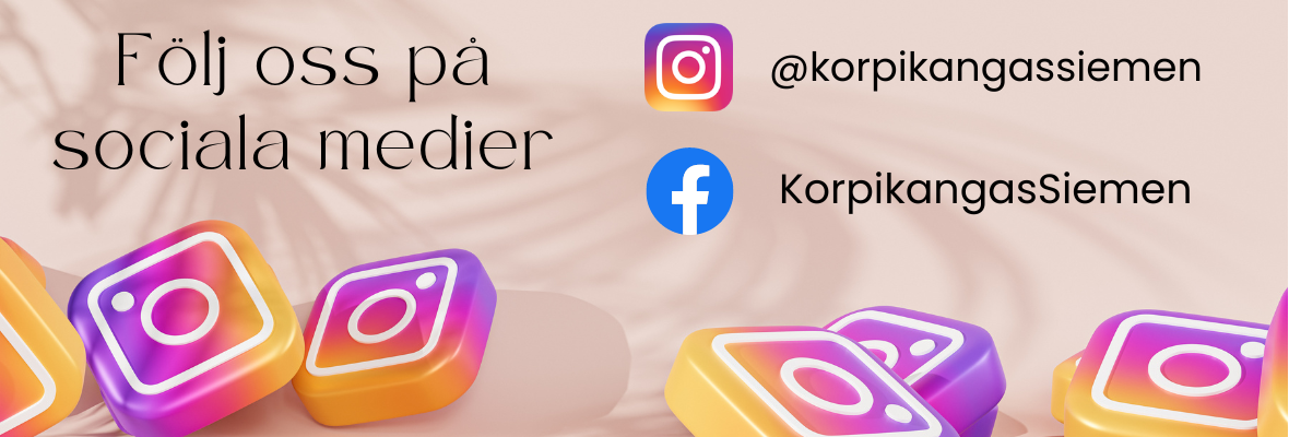 InstagramSE